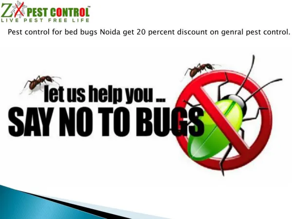 ZX PEST CONTROL-pest control for bed bugs Noida get 20 percent discount on genral pest control.