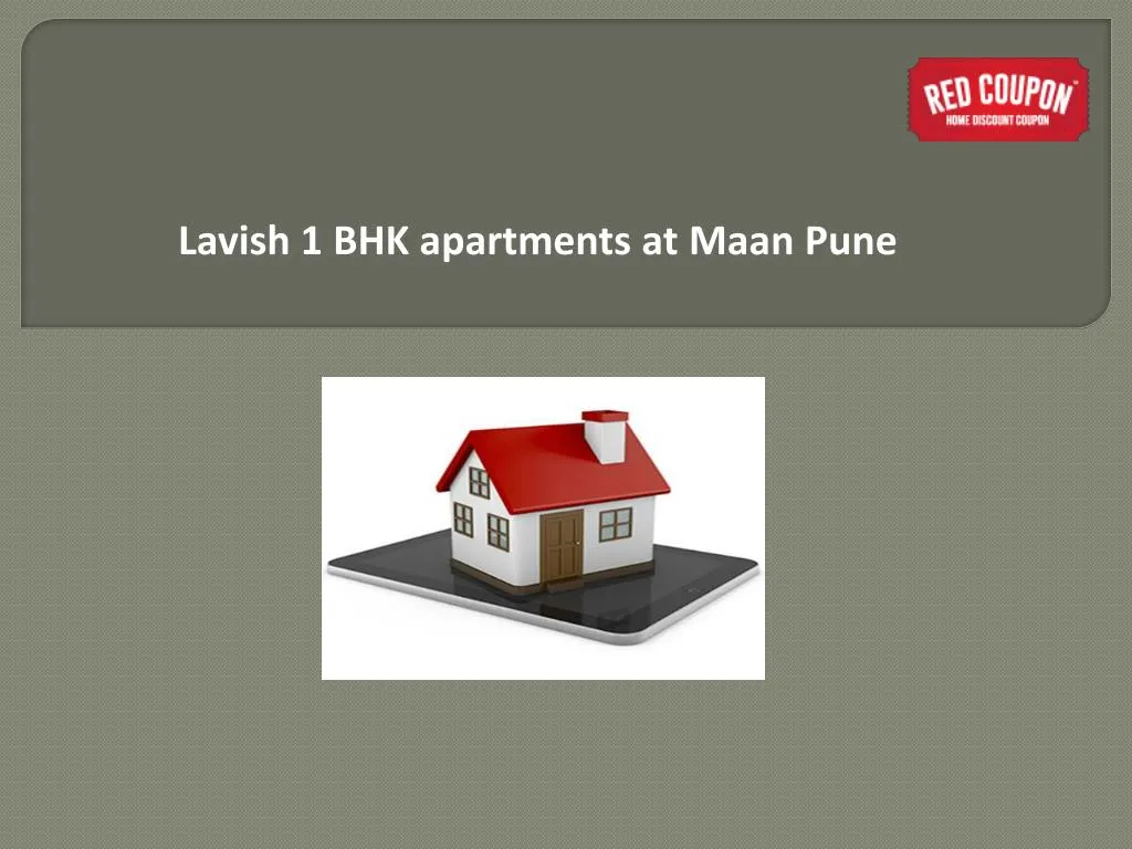lavish 1 bhk apartments at maan pune