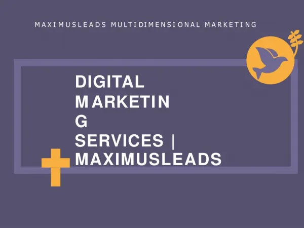 Digital-Marketing-Services-Maximusleads-Pune