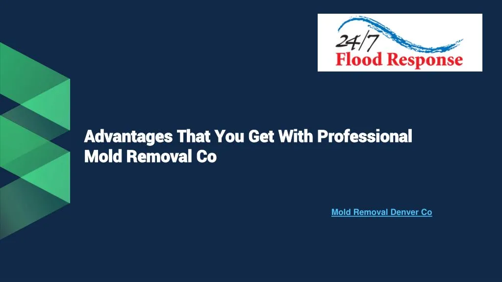 advantages that you get with professional mold removal co