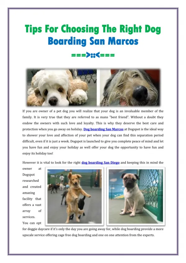 Dog Boarding San Marcos