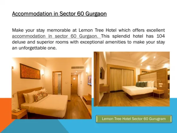Accommodation in Sector 60 Gurgaon