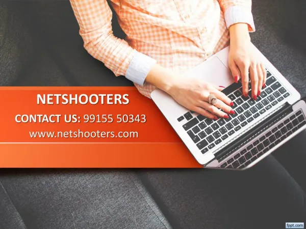 Netshooters: SEO Professionals
