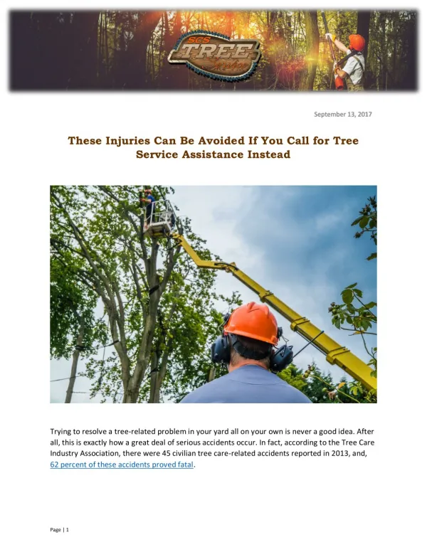 These Injuries Can Be Avoided If You Call for Tree Service Assistance Instead