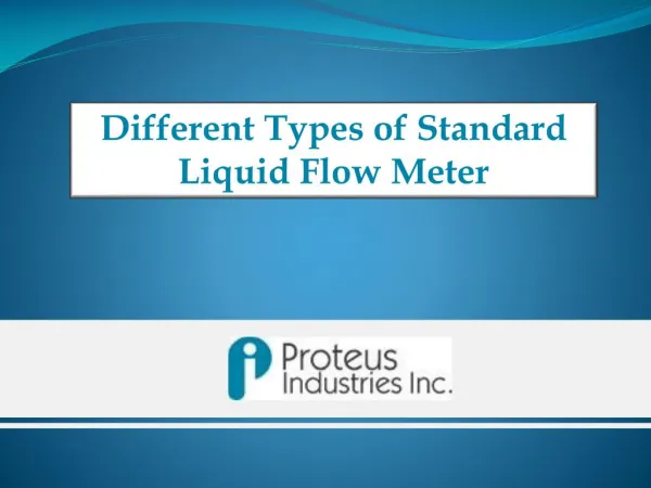 Standard Liquid FlowMeter - Proteus Industries