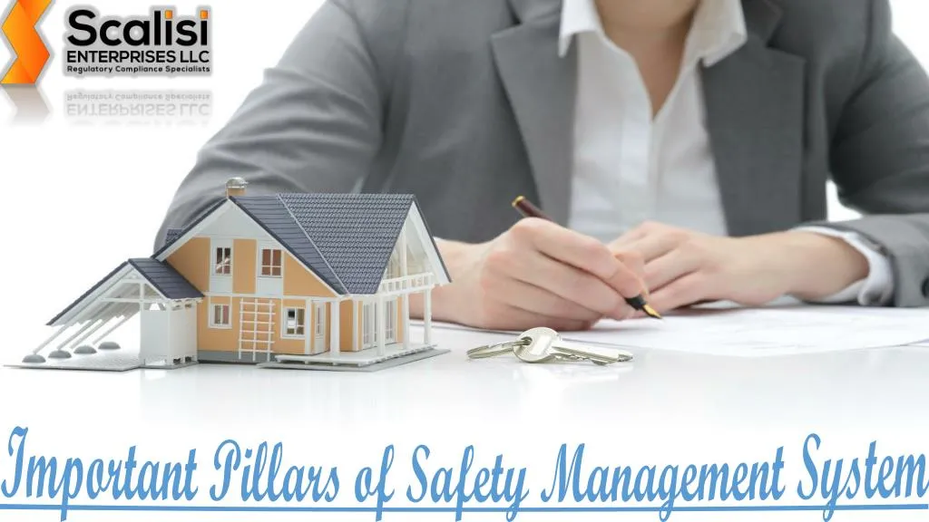 important pillars of safety management system