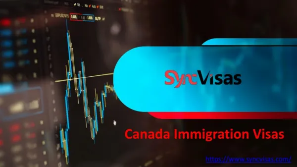 Sync Visas Feedback