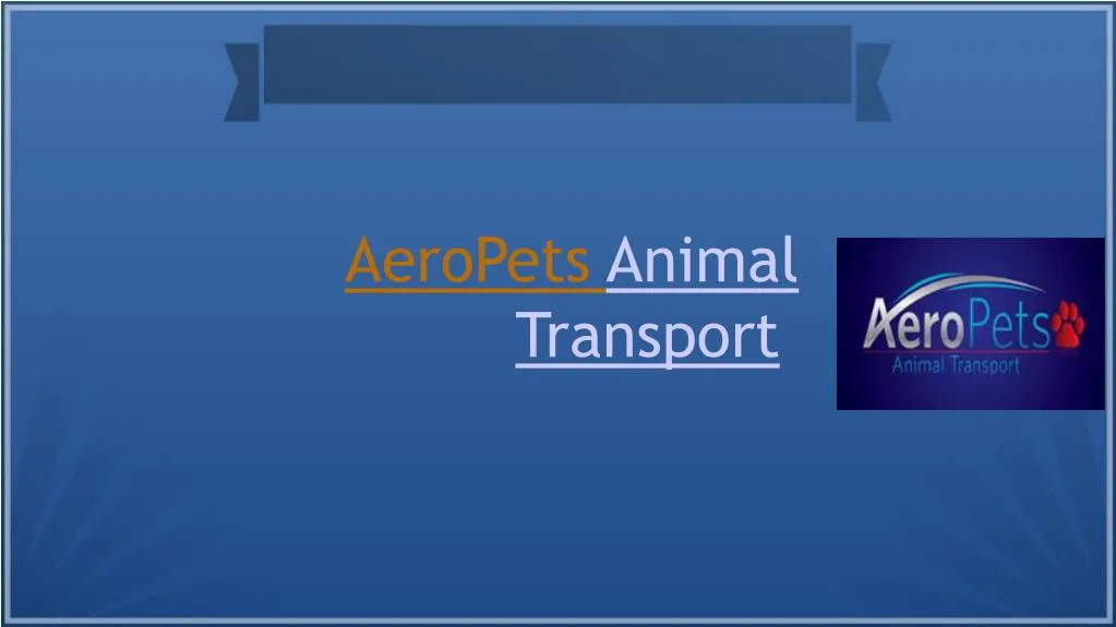 aeropets animal transport