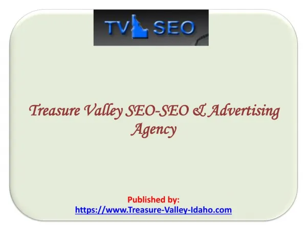 Treasure Valley SEO-SEO & Advertising Agency