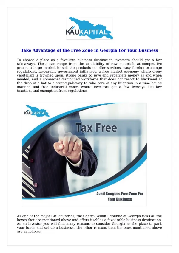 Take Advantage of the Free Zone in Georgia For Your Business