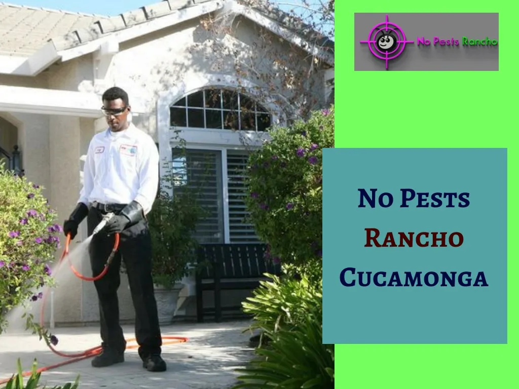 no pests rancho cucamonga