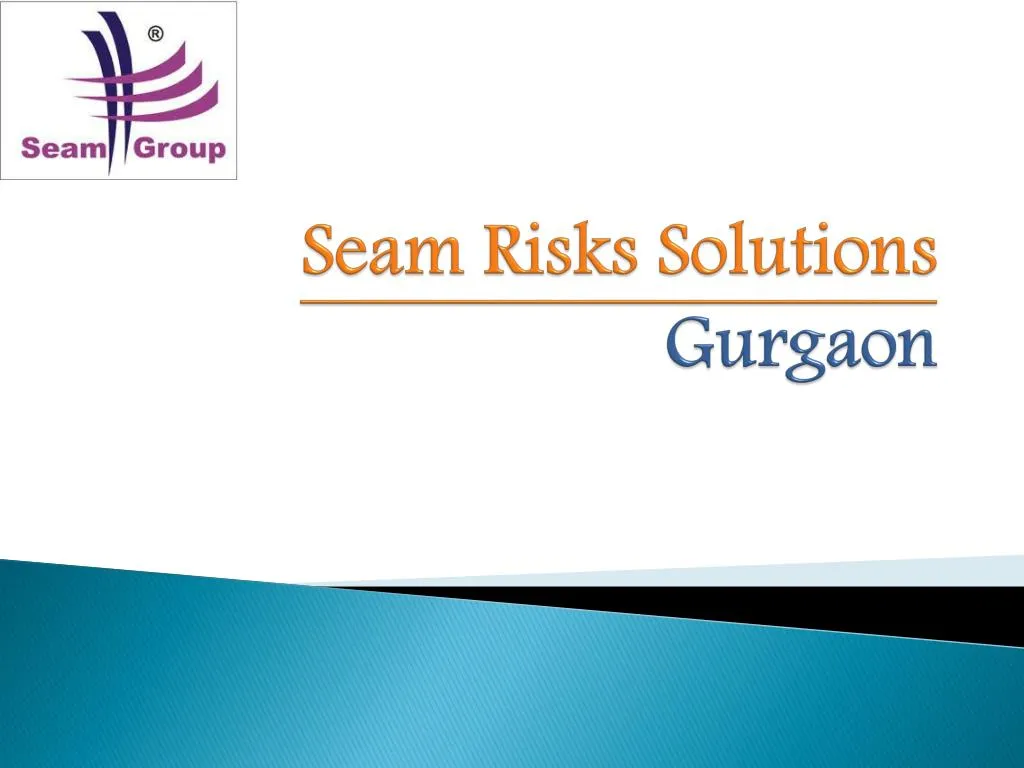 seam risks solutions gurgaon