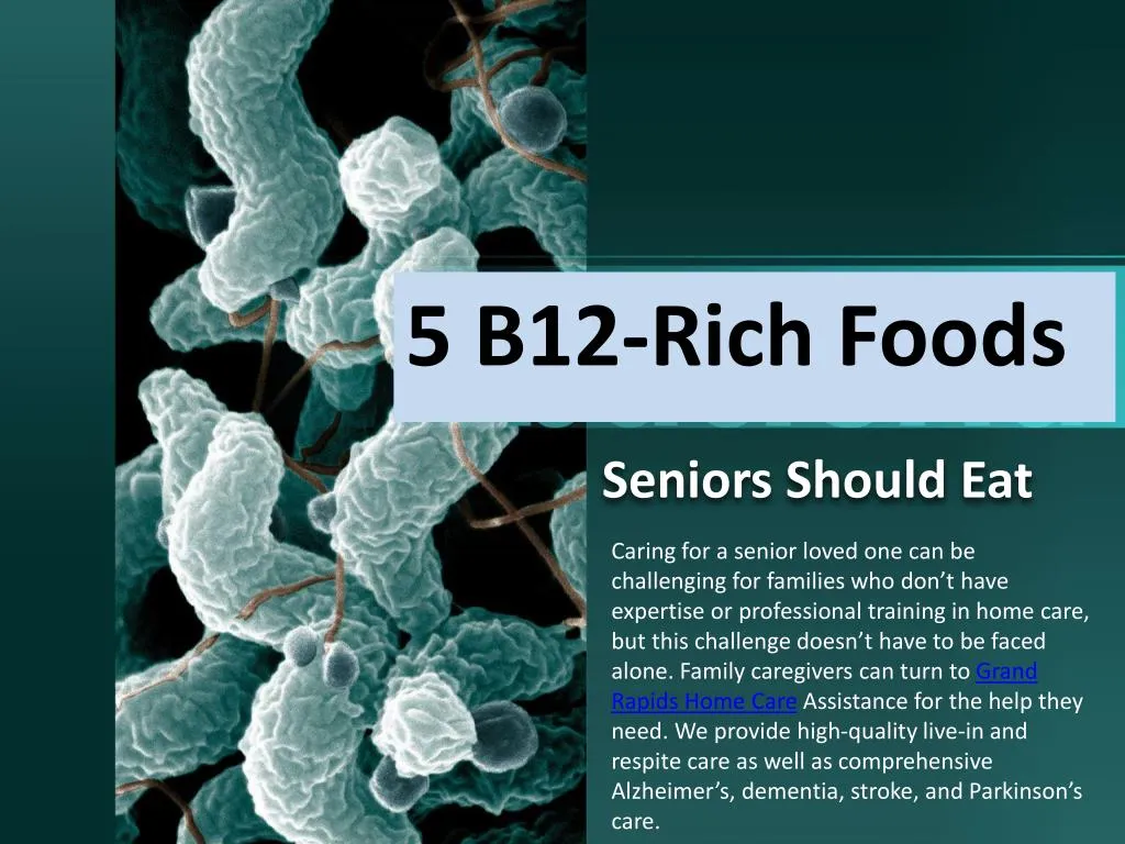 5 b12 rich foods
