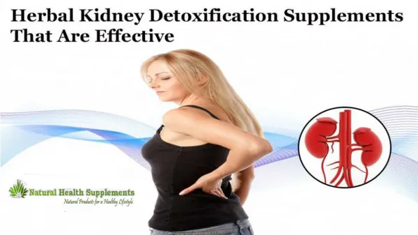 Herbal Kidney Detoxification Supplements That Are Effective