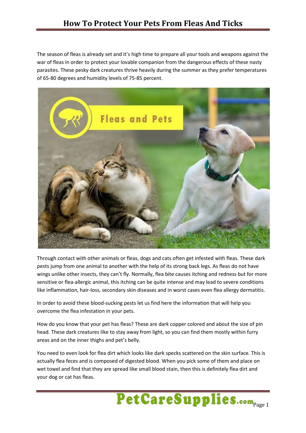 how to protect your pets from fleas and ticks