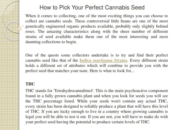 How to Pick Your Perfect Cannabis Seed