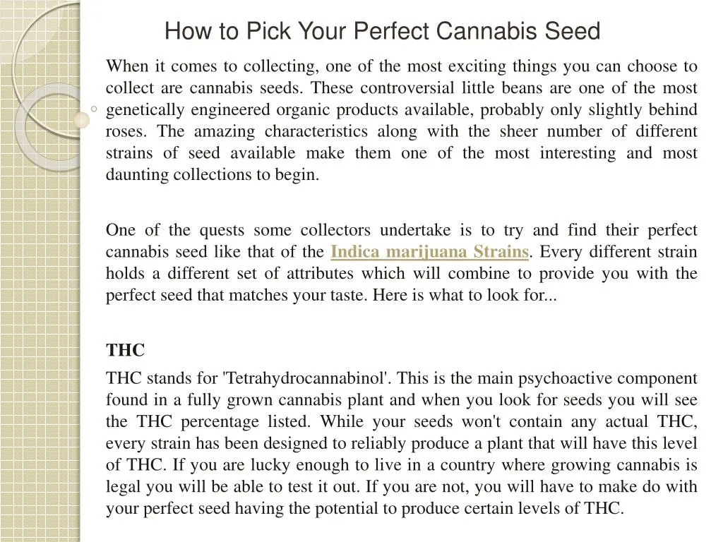 how to pick your perfect cannabis seed