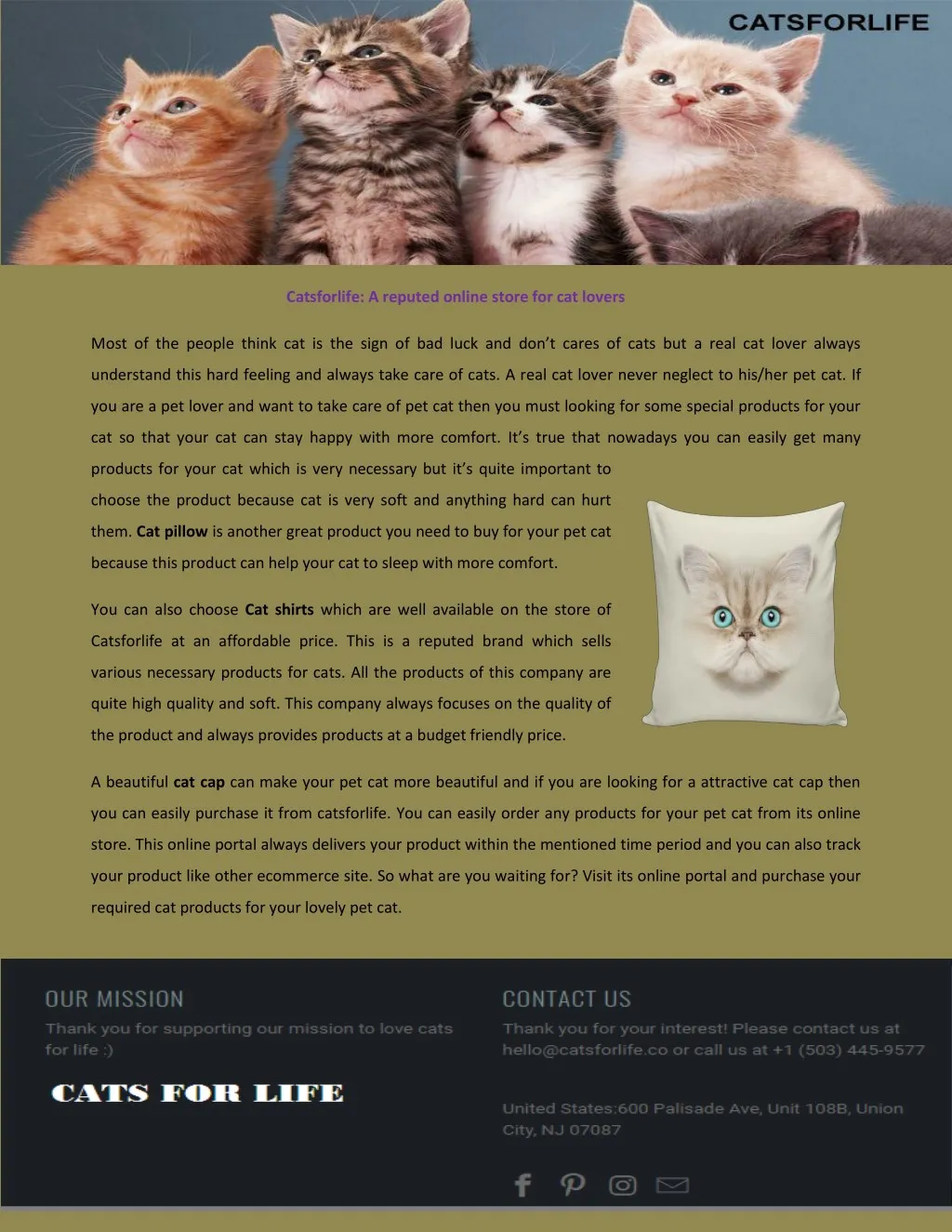 catsforlife a reputed online store for cat lovers