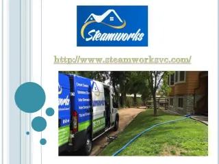 steam carpet cleaning 