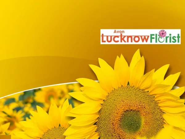 Lucknow Florist