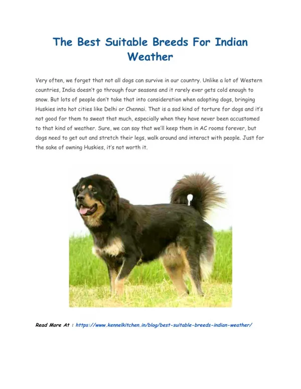 The Best Suitable Breeds For Indian Weather