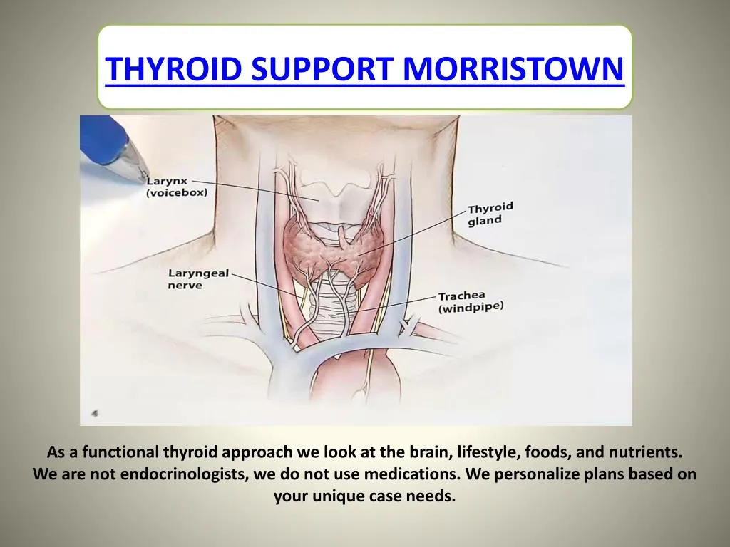 thyroid support morristown