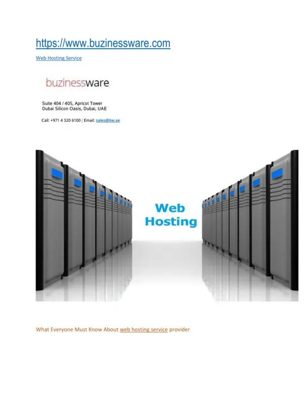 Web Hosting Service