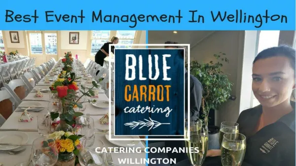 Best Event Management in Wellington - Blue Carrot Catering