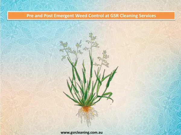 Pre and Post Emergent Weed Control at GSR Cleaning Services