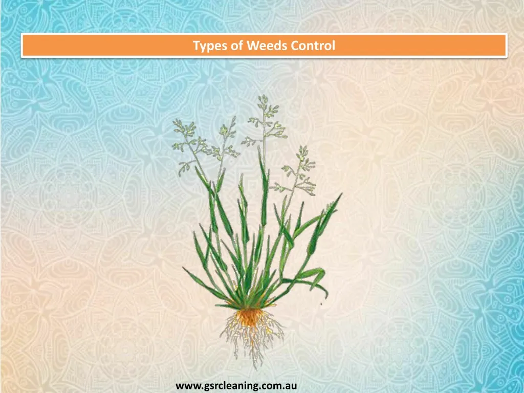types of weeds control