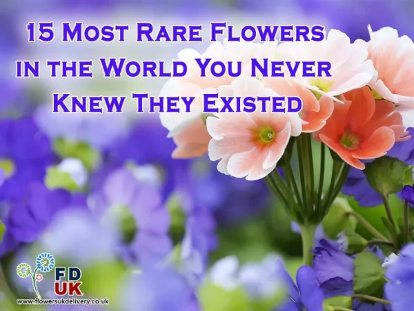15 Incredibly Rare Flowers You Have Probably Never Seen