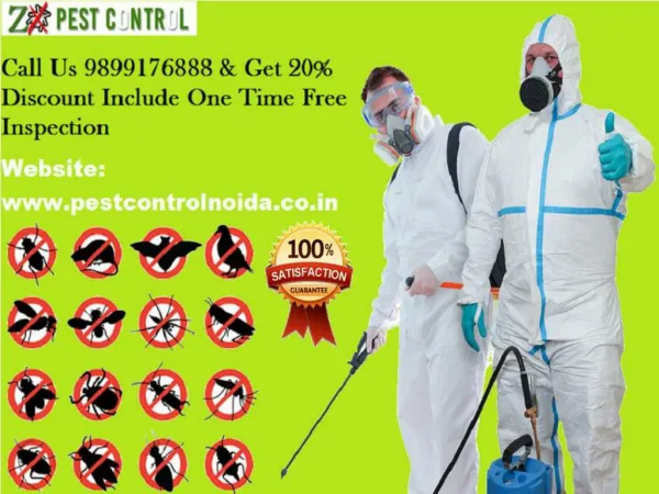 Get 20% OFF |Just Dial 9899176888 Pest Control Noida