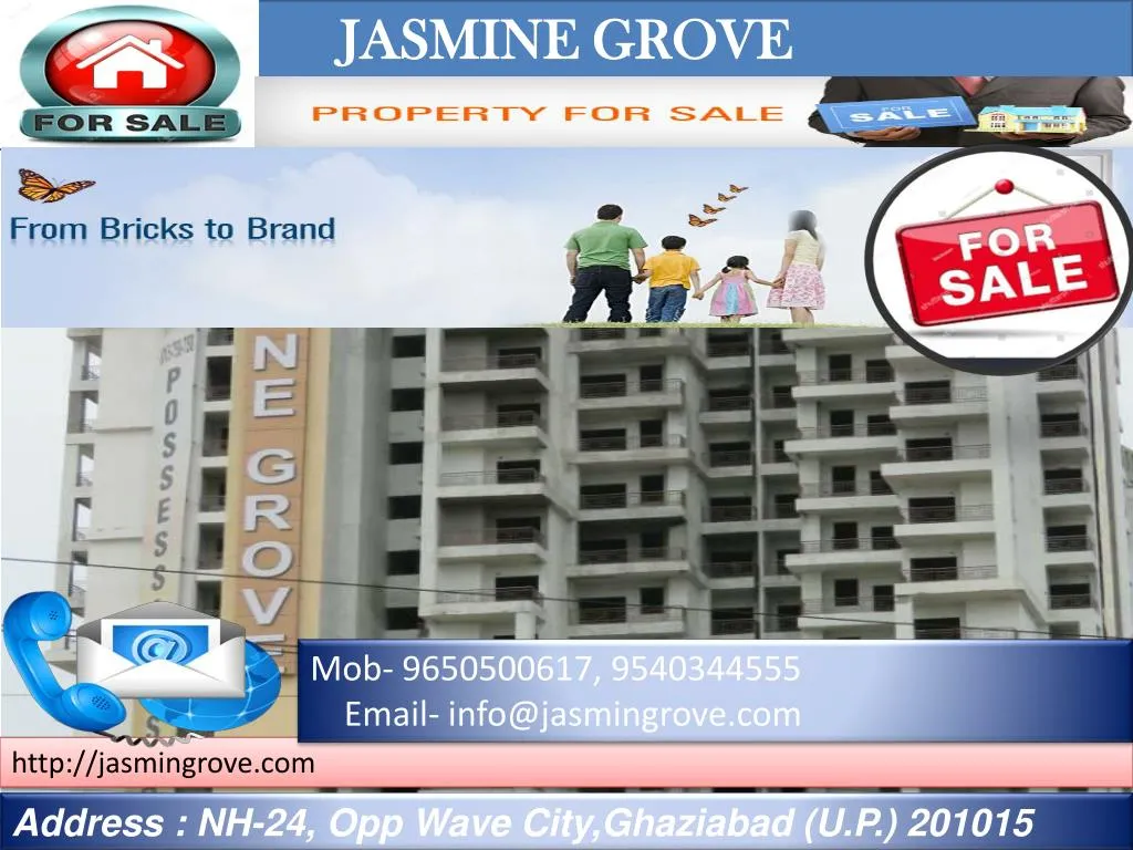 jasmine grove