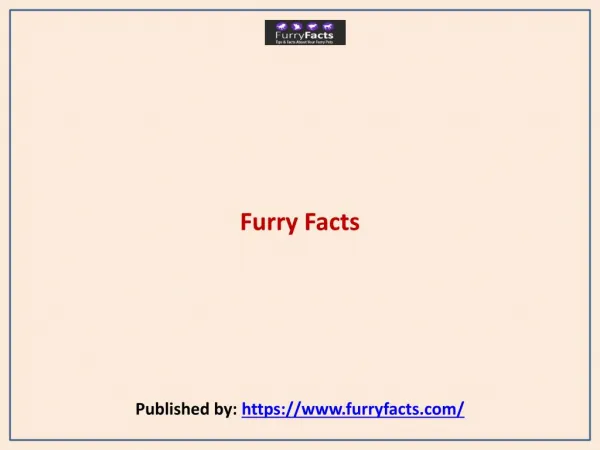 FurryFacts-Pet Care