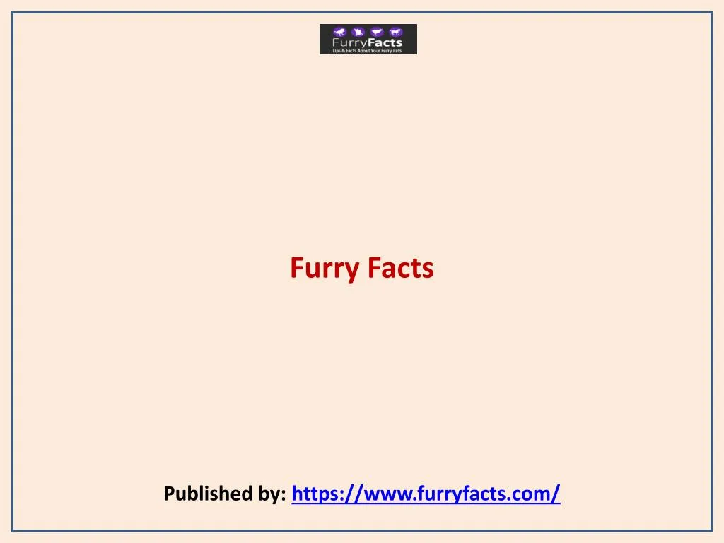furry facts published by https www furryfacts com