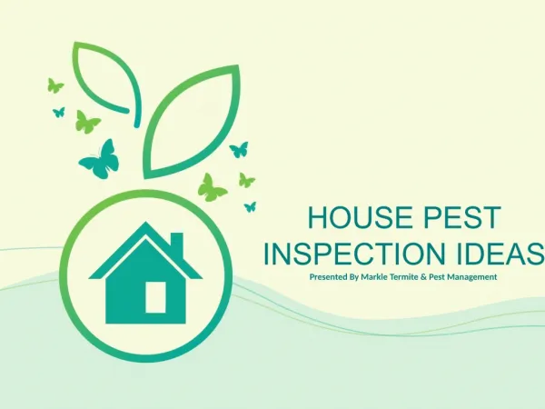 House Pest Inspection Ideas
