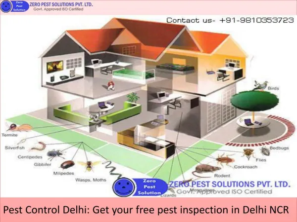 Pest Control Delhi: Get your free pest inspection in Delhi NCR