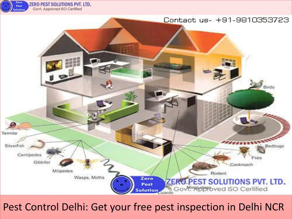pest control delhi get your free pest inspection