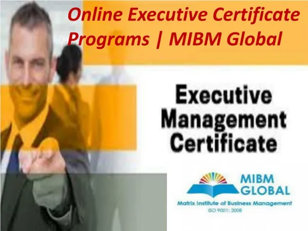 online executive certificate programs mibm global