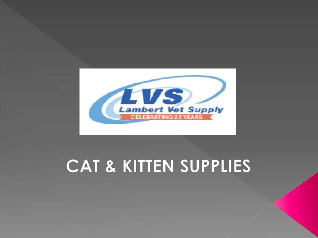 cat kitten supplies