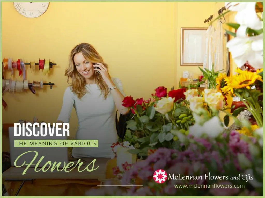 discover the meaning of various flowers