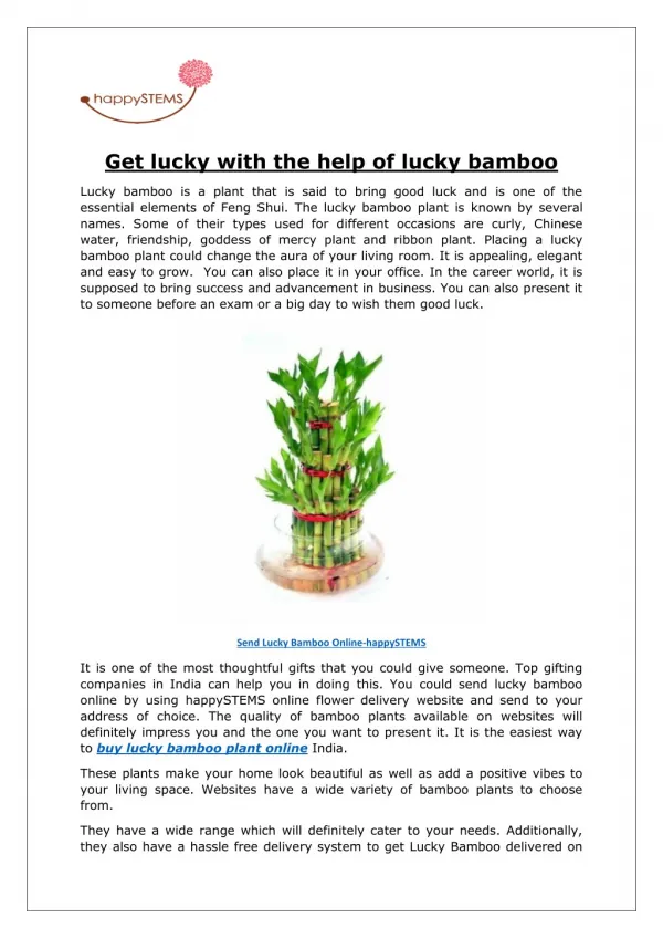 Send Lucky Bamboo Online