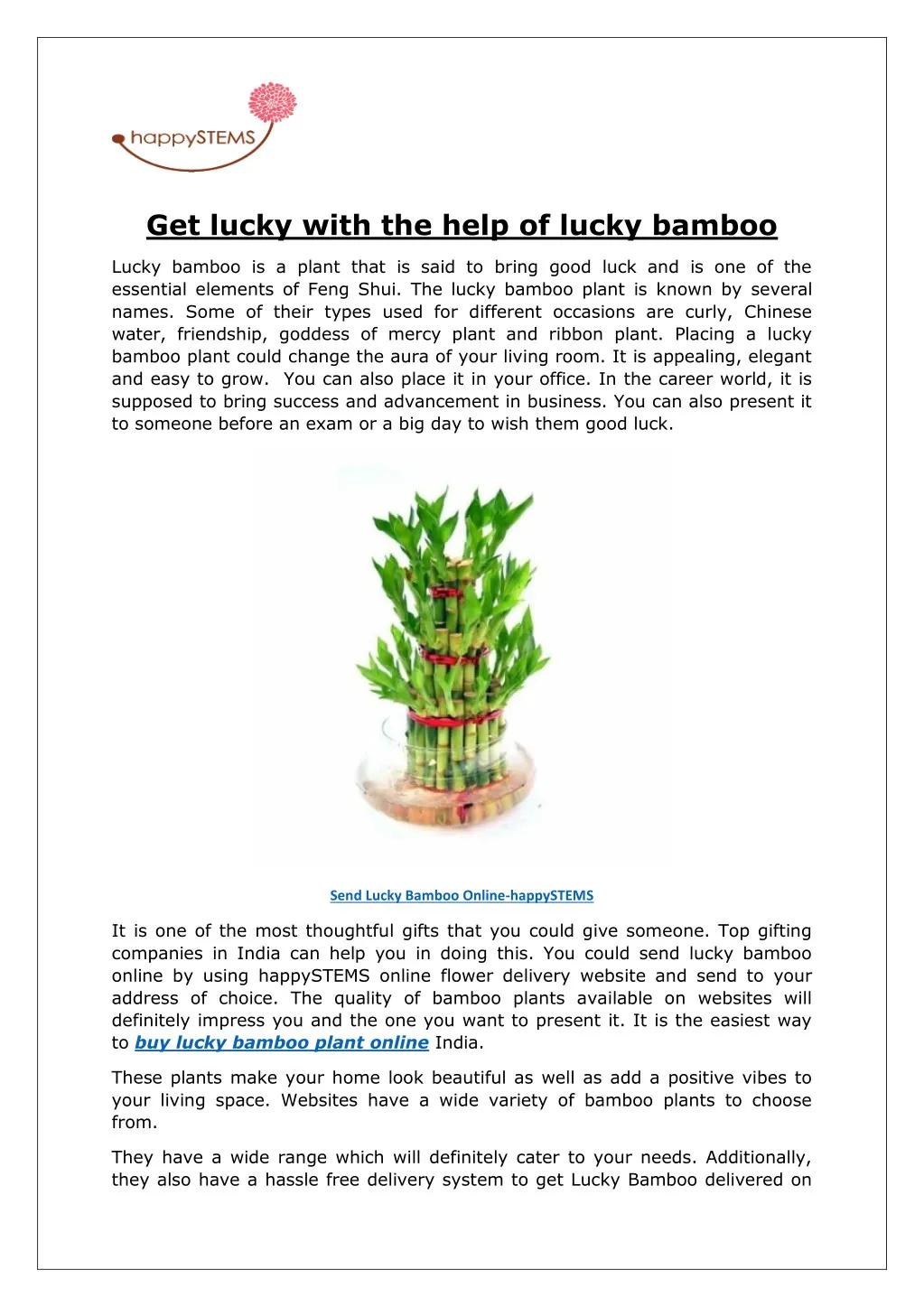 get lucky with the help of lucky bamboo