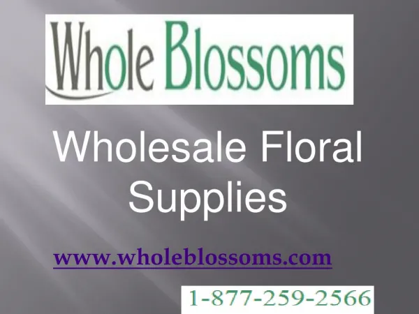Wholesale Floral Supplies - ww