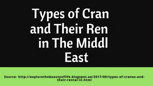 Types of Cranes and Their Rental in the Middle East