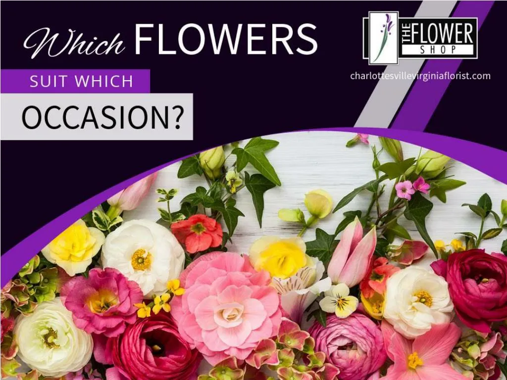 which flowers suit which occasion
