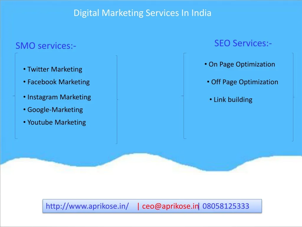 digital marketing services in india