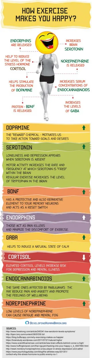 How Exercise Makes You Happy - slide 1