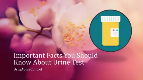 Important Facts You Should Know About Urine Test