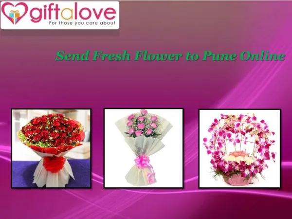 Flowers to Pune with free shipping
